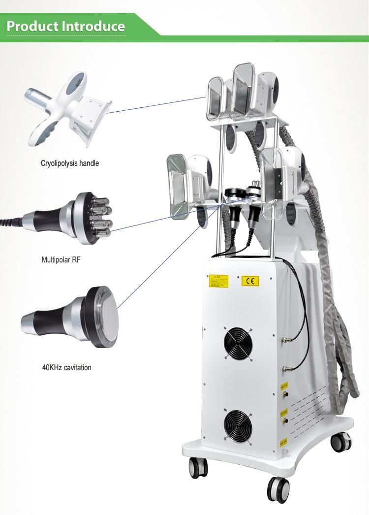 Cryo Slimming Machine New 4 Cryo Handles Cryolipolysis for Body/Belly/Buttocks