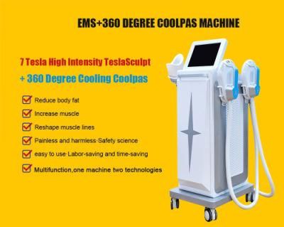 Newest EMS 360 Cryolipolysis 2 in 1 Fat Freezing Body Sculpting Machine for Sale