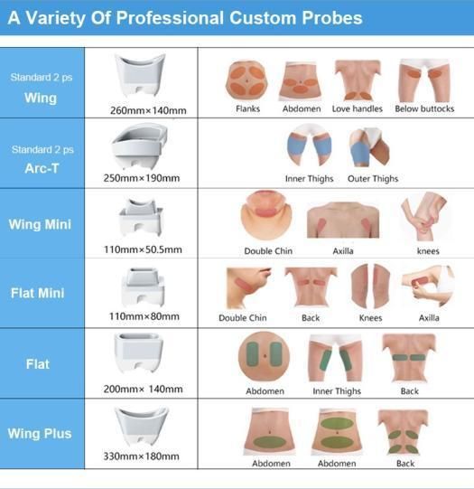 CE Approved Coolplas Cryo Fat Removal Machine for Sale