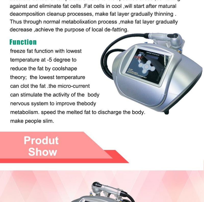 Best Selling Cryolipolysis Anti-Freezing and Weight Loss Slimming Beauty Machine (ETG17)