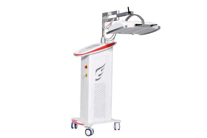 Skin Beauty Machine / LED Light Skin Rejuvenation Equipment