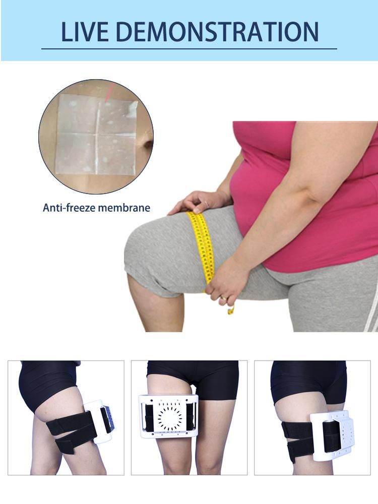 New Second Generation Portable Fat Freeze Machine