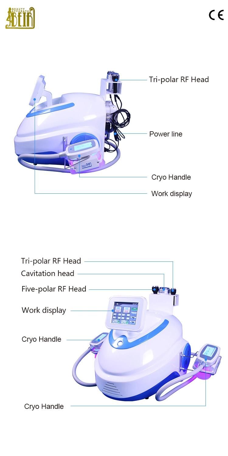 Cryolipolysis Cryotherapy Portable Slimming Cryoslimming Machine Vacuum Cryo 360 System