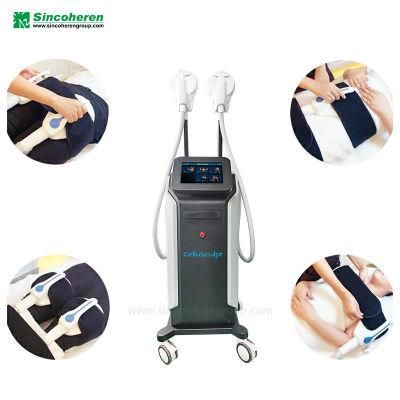 Aesthetic Equipment Medical CE Approved 13.46 Tesla Build Muscle Burn Fat EMS Machine