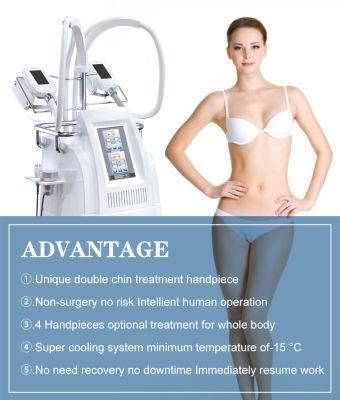 Criolipolisis with 5 Handles for Tummy Slimming Cryoslim Slimming Machine