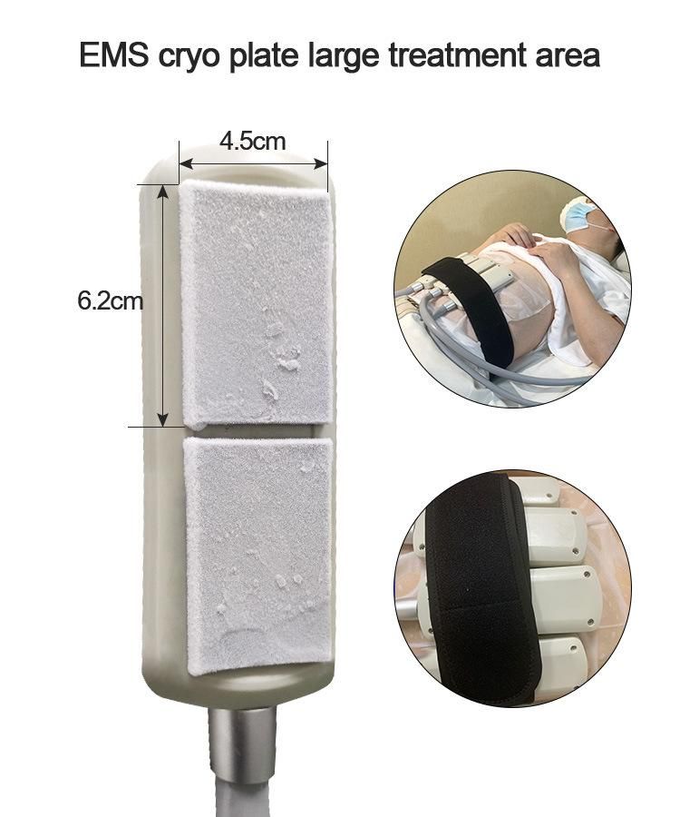 Non-Invasive Cryolipolysis Pad Body Cellulite Removal EMS Micro Electricity Cool Paddles Fast Slimming Machine