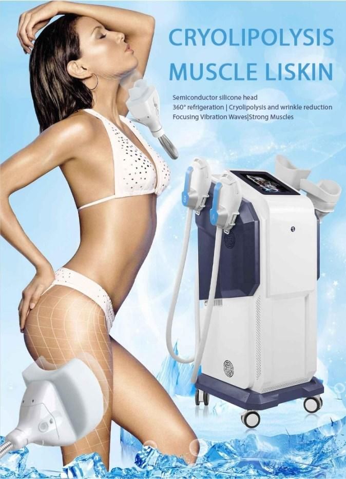 EMS + Cyro Cellulite Reduction Muscle Stimulation Weight Loss Machine