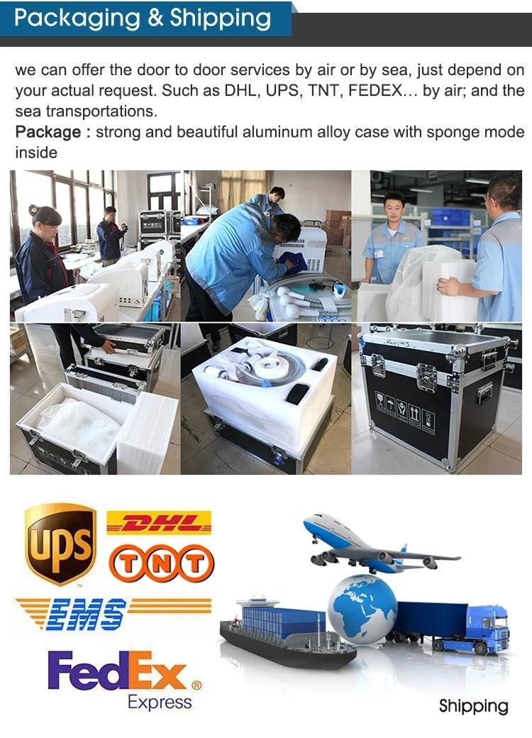 Portable Combined Beauty Machine with Dpl and Shr Systems