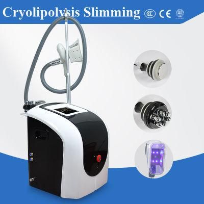 Fat Slimming Cryolipolysis 40K Cavitation RF Slimming Salon Equipment