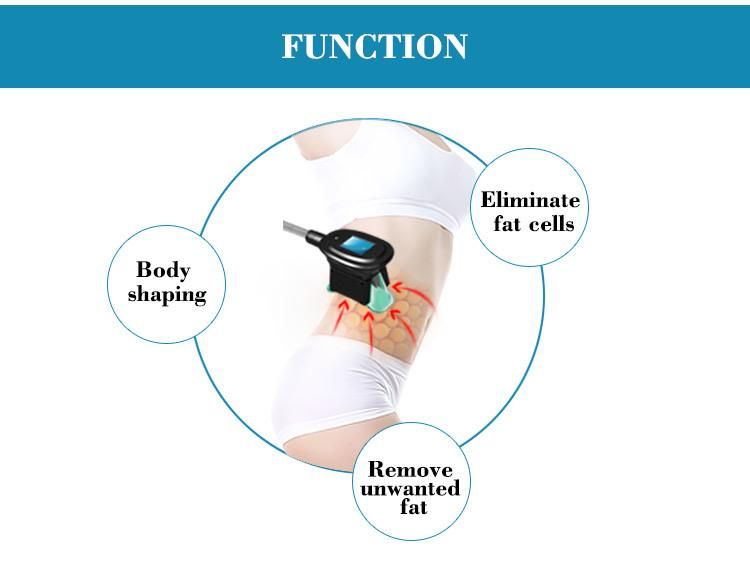 Portable Cooling Freezing Fat Removal Body Slimming Machine