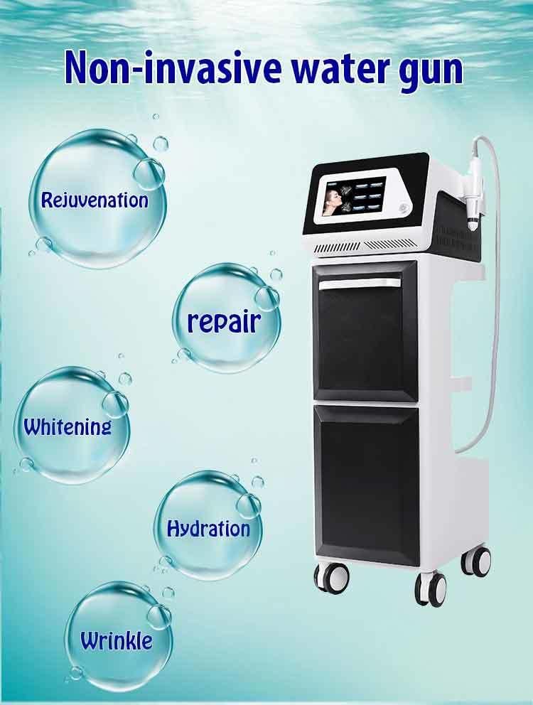 Microneedle RF Mesotherapy Gun Facial Care Beauty Machine