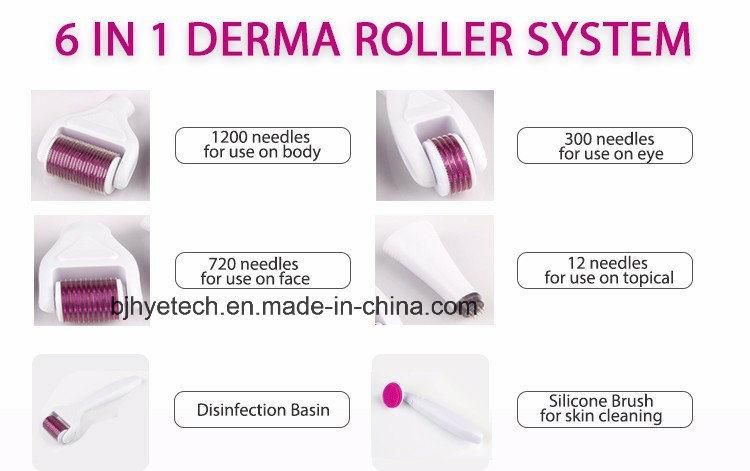 6 in 1 Dermaroller Kit Use for Face, Eyes and Body Care Derma Roller