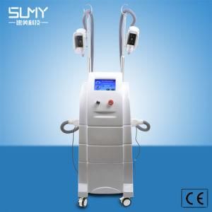 Top Quality Best Sell Newest Cryoliplysis Lipo RF Loss Weight Slimming Body Beauty Machine