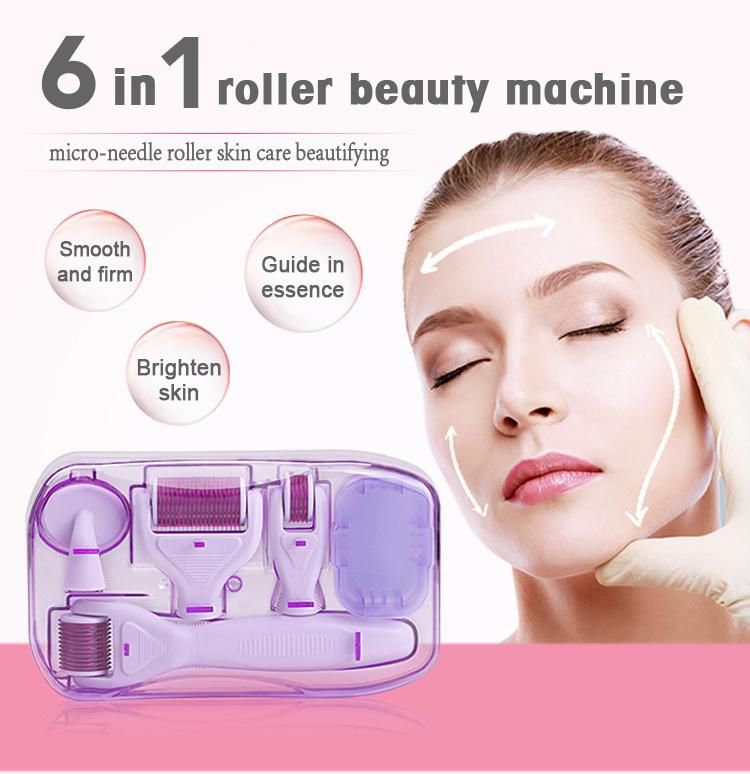 6 in 1 Stainless Steel Microneedling Derma Roller Set