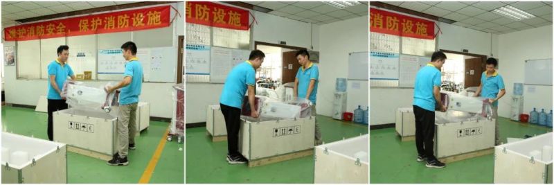 Medical Ce Approved Portable Hair Removal IPL Shr Machine in Clinic and SPA