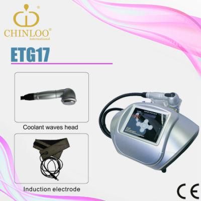 2015 Hottest Selling Non Invasive Fat Reduction and Weight Loss Cryolipolysis Beauty Machine (ETG17)