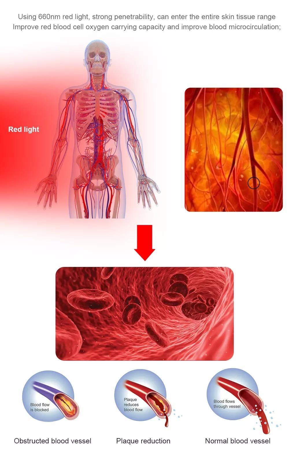 OEM Customized Portable Light Therapy Handheld for Facial Firm Skin or Body Pain Relief