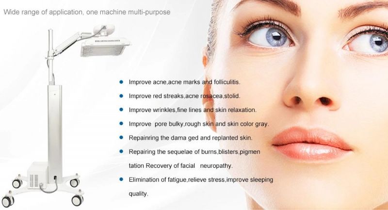 Wholesale 7 Colors Skin Care Machine PDT 7 LED Light Therapy Beauty Equipment