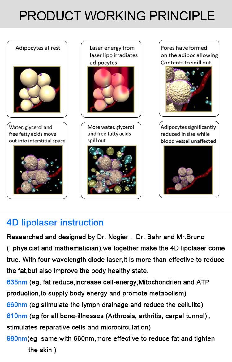 New Arrival 635 650&980&780nm Diode Lipolaser 4D Mitsubishi Lipo Laser Machine