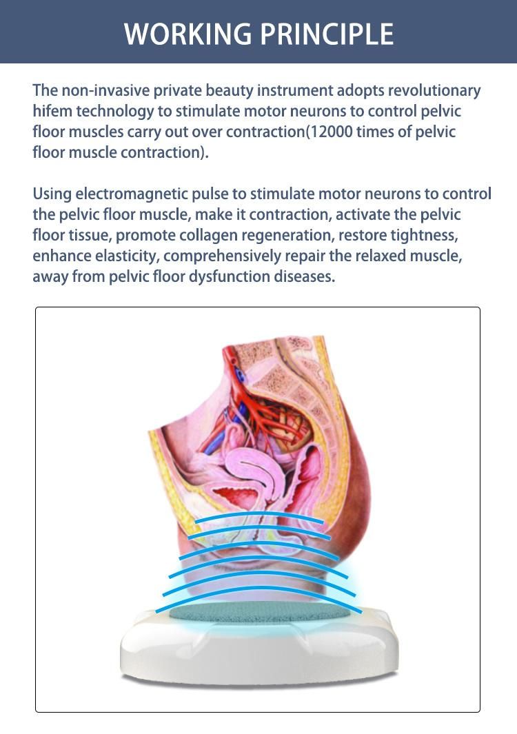 for Pelvic Floor Muscle Building EMS Chair EMS Shaping Machine