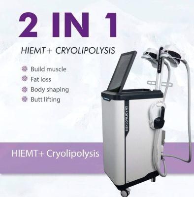 2 in 1 EMS+Cryolipolysis Body Slimming Machine for Weight Loss