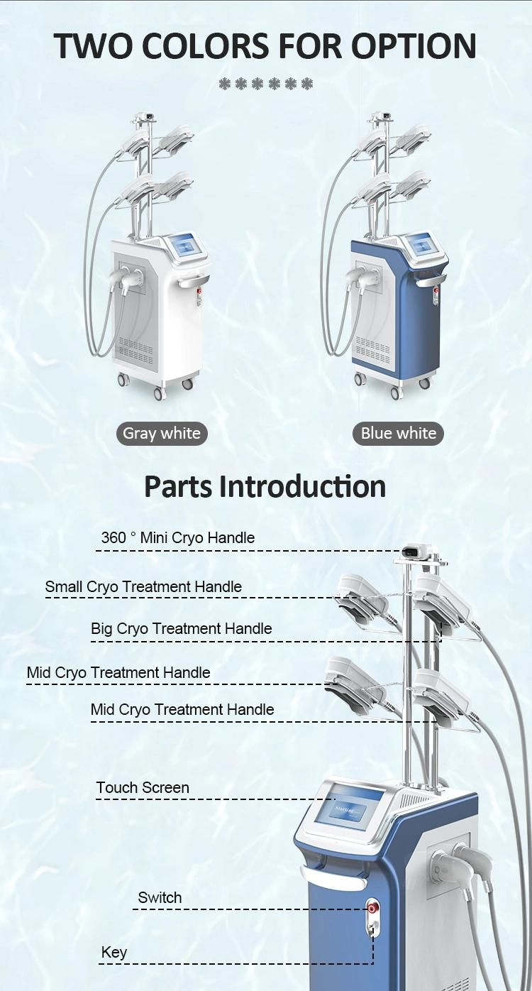 Newest Cryotherapy Physiotherapy Cyro Slimming Cryolipolysys Fat Freeze 360 Angle with 5 Cryo Handles