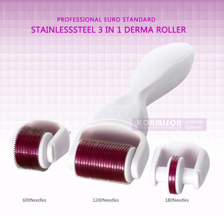 Portable Microneedle Roller 3 in 1 Titanium Zgts Derma Roller