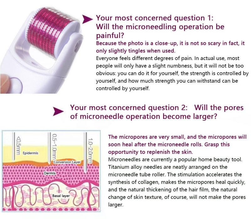 Hot Sales Skin Mesotherapy 5 in 1 Derma Roller