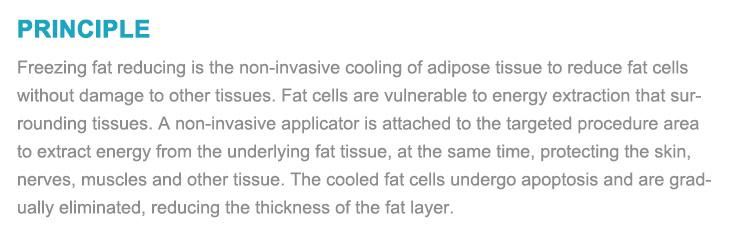 New Products Mini Home Use Fast Fat Freezing Cryo Body Slimming Machine