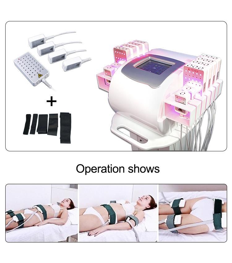 2020 3D Lipo Lipolaser 980 Nm Mitsubishi Slimming Machine Br310