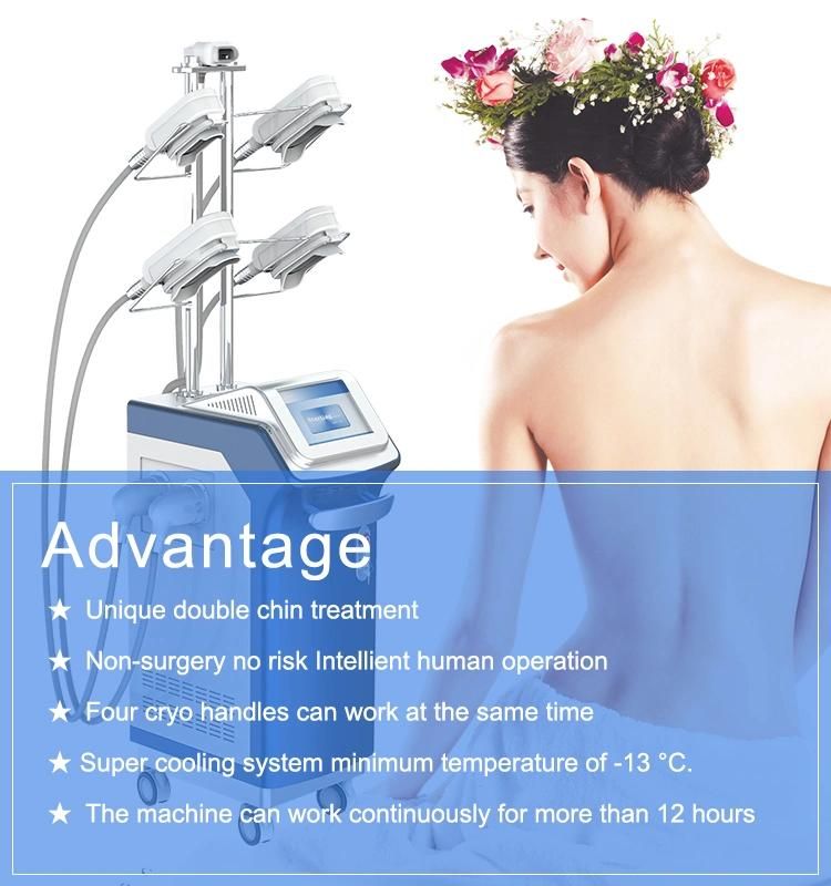 Newest Cryotherapy Physiotherapy Cyro Slimming Cryolipolysys Fat Freeze 360 Angle with 5 Cryo Handles