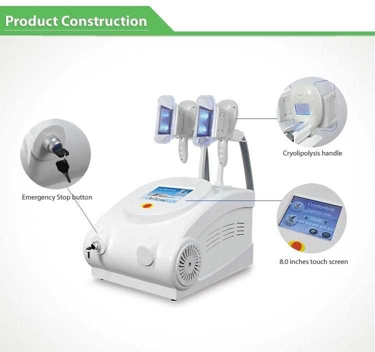 2 Handles Cryolipolysis Fat Freezing Slimming Machine for SPA