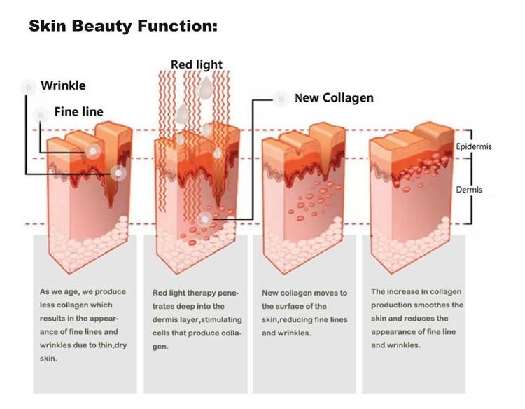 Anti-Acne Skin Beauty Weight Loss Photobiomodulation Light Therapy Pod