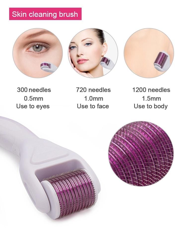 Facial Microneedling Derma Roller 6 in 1 Skincare Beauty Machine