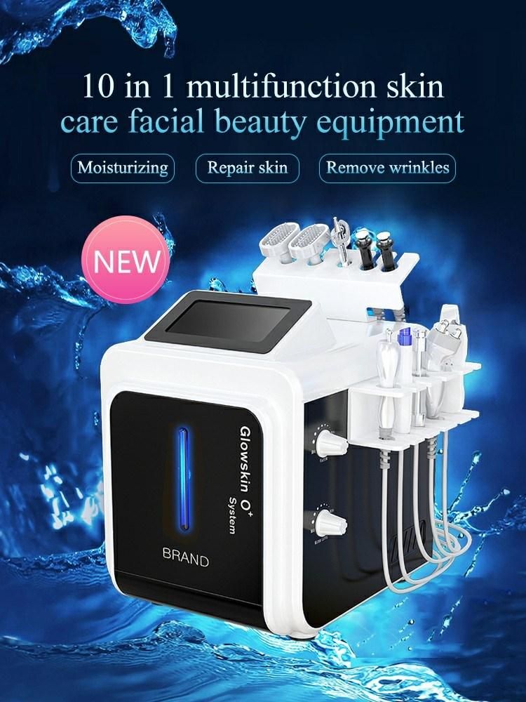 10 in 1 Hydra Facial Dermabrasion Skin Rejuvenation System Machine Hydra Skin Water Oxygen Jet Peel Beauty Machine for Face Care