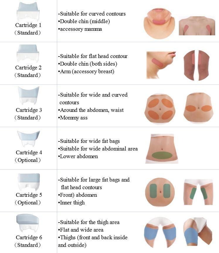 Az CE Approved Sincoheren Diamond Coolplas Body Contouring Without Surgery and Downtime