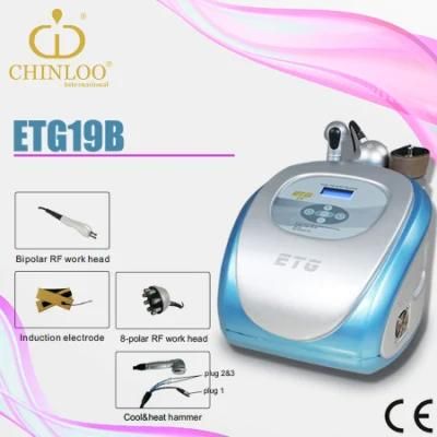 Hot Selling Portable Cryolipolysis &amp; RF Slimming Beauty Machine with Ex-Factory Price (ETG19B)