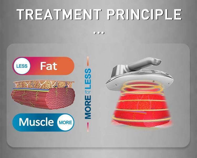 7 Tesla Sculpting RF Muscle Building Fat Removal