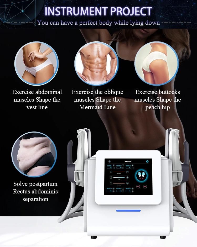 Portable EMS Muscle Stimulation Body Contouring Machine 4 Handles Working Together