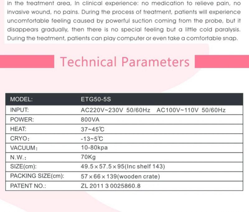 Etg50-5s Hot Sale Cryolipolysis Freeze Fat Cool Shaping Slimming Beauty Machine with CE