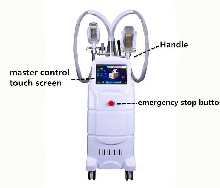 Fat Freezing Removal Machine Cryo Back Fat Cryolipolisis Weight Loss Machine