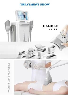 2022 Newest 2 Handle Cryolipolyse 360 Cryo Cool Tech Sculpting Fat Freezing Cellulite Removal Machine Price