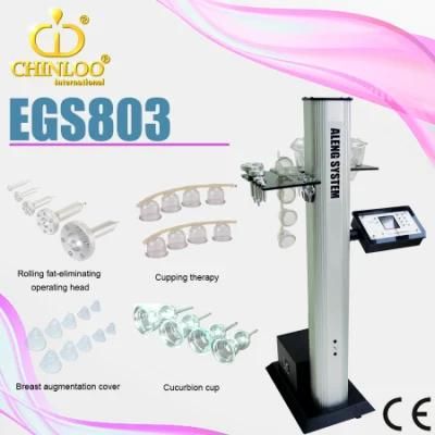 Breast Enlarge Cupping Beauty Machine (EGS803)