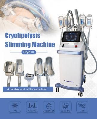 Triangel Cryolipolysis Fat Freezing Slimming Machine Body Contouring Machine