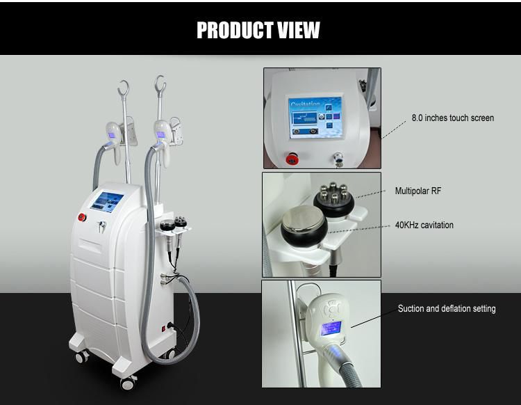 Factory Price! Fat Freezing Cryolipolysis Beauty Machine for Weight Loss