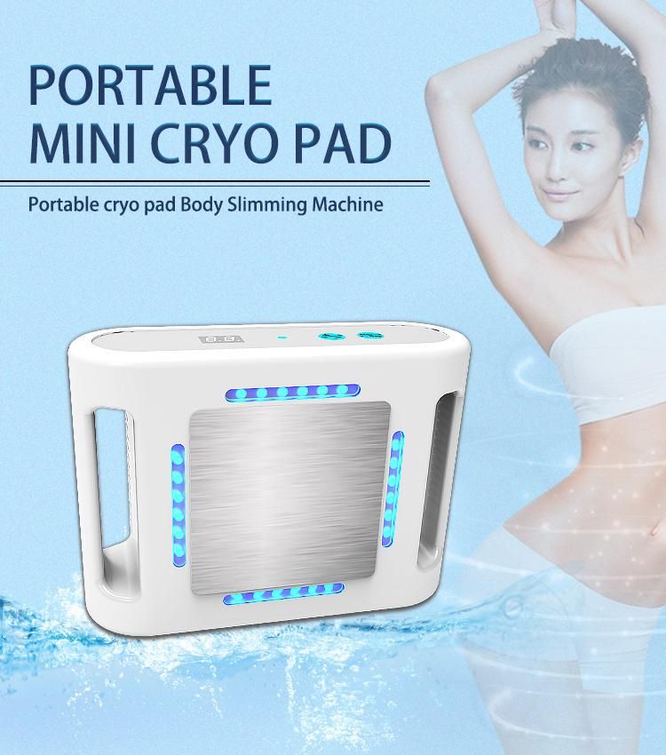 Home Weight Loss Equipment -13 Degree Portable Mini Cryo Body Slimming Machine