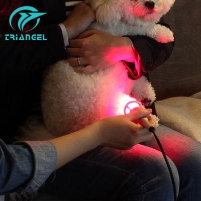Class IV Animal Therapeutic Laser Therapy 980nm Veterinary Laser