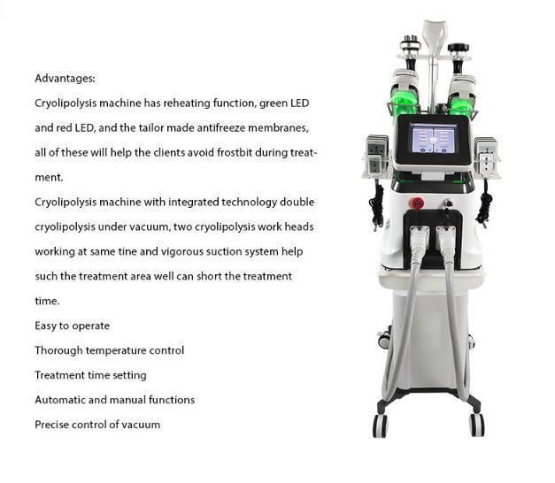 Portable Cryolipolyse 360 Degree Cryolipolyse Cool Machine Slimming Cryo Therapy Cryo RF 3 Handles Laser