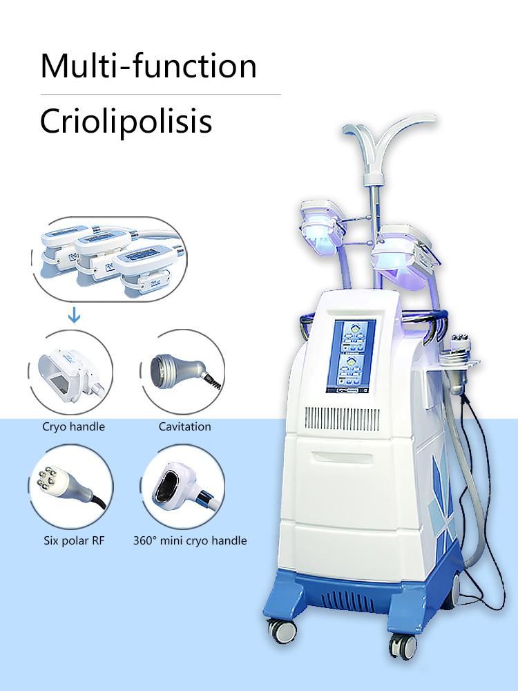 Best Price Cool Sculption Cryolipolysis Cool Shape Machine Fat Loss Criolipolisis Fat Reduce Freezing Cryolipolysis Machine