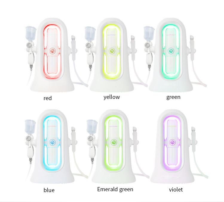 Multi-Functional 2 in 1 Skin Care Micro Bubble Facial Cleansing Blackhead Removal Water Oxygen Facial Machine